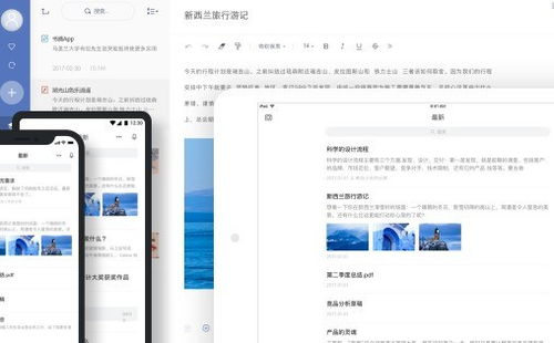 2024年網易有道軟件排行榜、免費試用技巧與設計開發趨勢全解析
